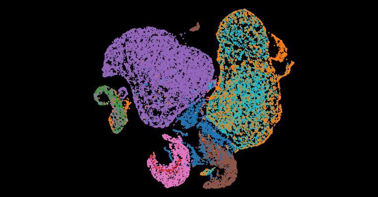 Tabula Sapiens 2.0: A comprehensive transcriptomic atlas of human cell types