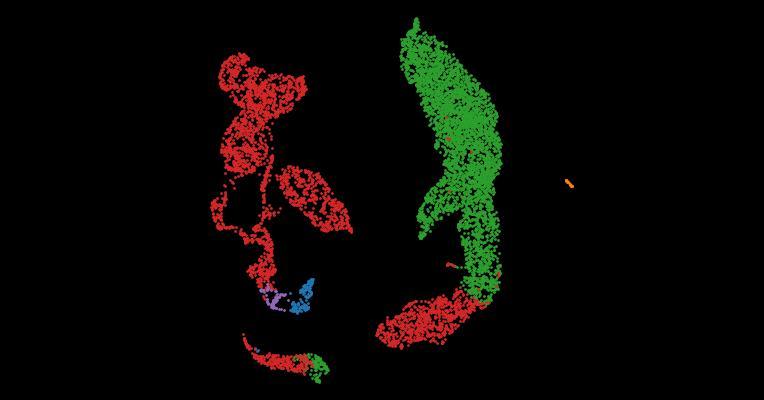 Tabula Sapiens 2.0: A comprehensive transcriptomic atlas of human cell types
