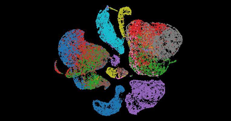 Tabula Sapiens 2.0: A comprehensive transcriptomic atlas of human cell types