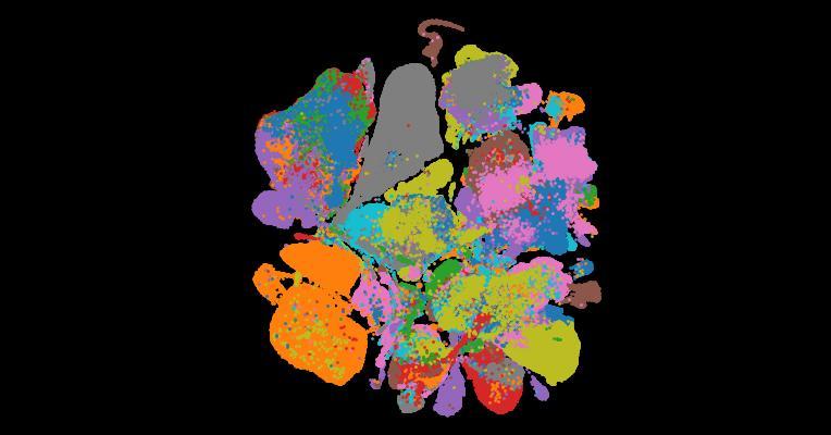 Tabula Sapiens 2.0: A comprehensive transcriptomic atlas of human cell types