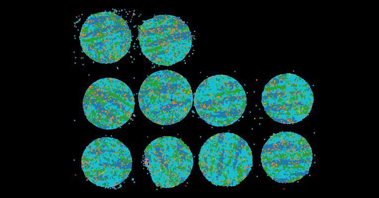 An atlas of healthy and injured cell states and niches in the human kidney