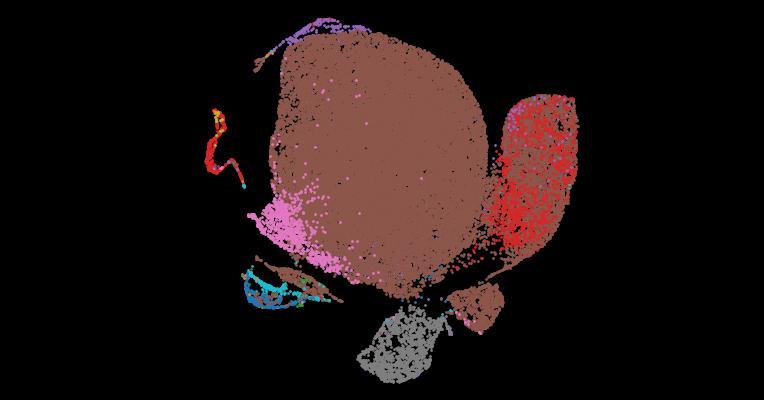 Tabula Sapiens 2.0: A comprehensive transcriptomic atlas of human cell types