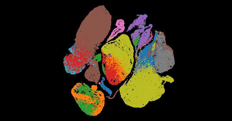 Tabula Sapiens 2.0: A comprehensive transcriptomic atlas of human cell types