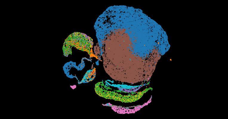 Tabula Sapiens 2.0: A comprehensive transcriptomic atlas of human cell types
