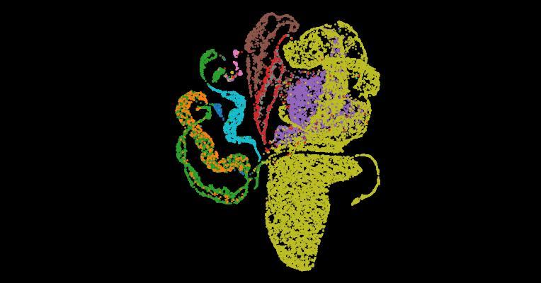 Tabula Sapiens 2.0: A comprehensive transcriptomic atlas of human cell types