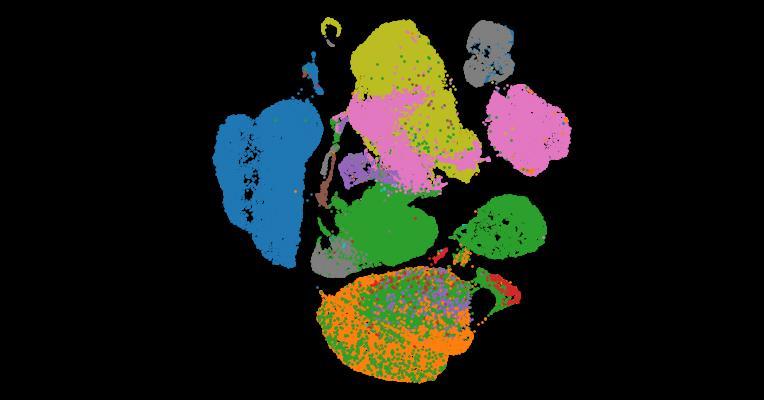 Tabula Sapiens 2.0: A comprehensive transcriptomic atlas of human cell types