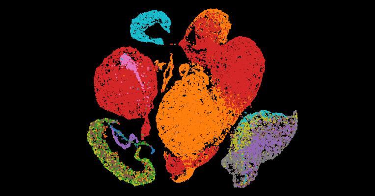Tabula Sapiens 2.0: A comprehensive transcriptomic atlas of human cell types