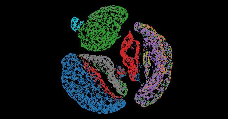 Tabula Sapiens 2.0: A comprehensive transcriptomic atlas of human cell types