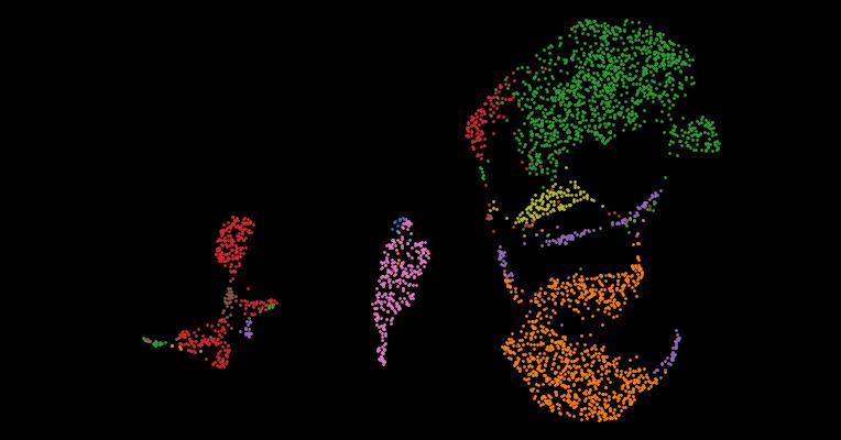 Tabula Sapiens 2.0: A comprehensive transcriptomic atlas of human cell types