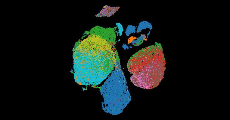 Tabula Sapiens 2.0: A comprehensive transcriptomic atlas of human cell types