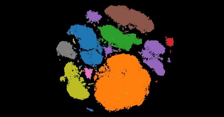 Single-cell compendium of muscle microenvironment in peripheral artery disease reveals altered endothelial diversity and LYVE1+ macrophage activation