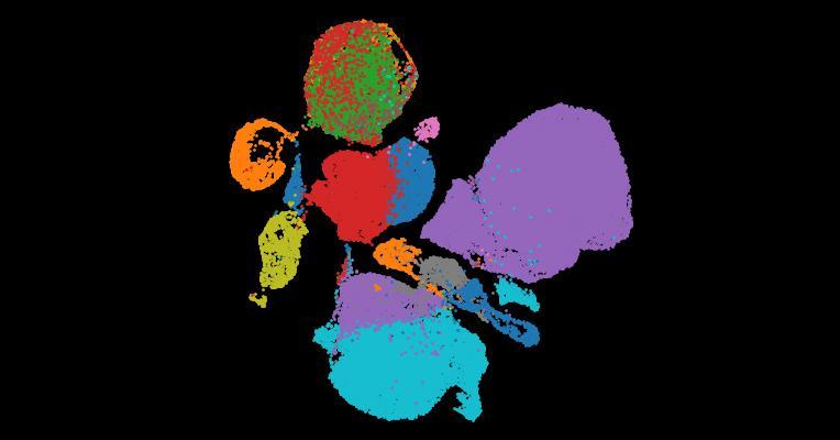 Tabula Sapiens 2.0: A comprehensive transcriptomic atlas of human cell types