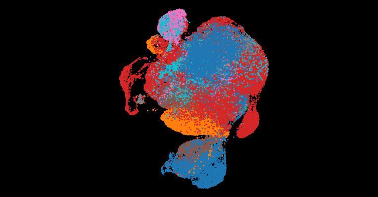 Tabula Sapiens 2.0: A comprehensive transcriptomic atlas of human cell types