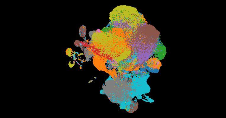 Tabula Sapiens 2.0: A comprehensive transcriptomic atlas of human cell types