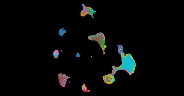 Single-cell spatial transcriptomic analysis of human skin anatomy